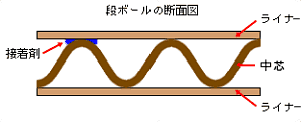 段ボールの断面図